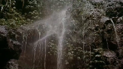 音乐短片 - 澳洲