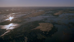 音乐短片 - 澳洲