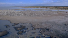 音乐短片 - 澳洲