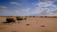 音乐短片 - 澳洲