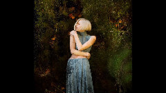 Aurora - In Boxes