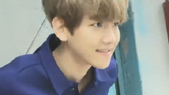 EXO,边伯贤(EXO),EXO-M,EXO-K - 与边伯贤的一天