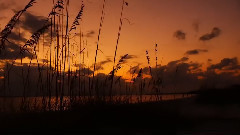 音乐短片 - Смотреть видео онлайн в Моем