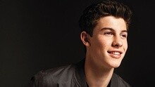 Shawn Mendes,Camila Cabello - Mashup Songs (Acoustic)