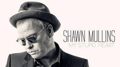 Shawn Mullins - My Stupid Heart