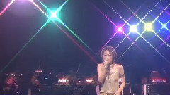 日本群星 - 紫艳 渋谷のネコ2002