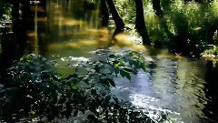 音乐短片,风景 - Shine and Blue Sky