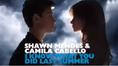 Shawn Mendes,Fifth Harmony - I Know What You Did Last Summer