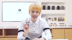 EXO - SMTOWN 油管更新伯贤相关视频