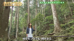 伍代夏子 - 恋ざんげ