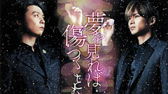 KinKi Kids - 夢を見れば傷つくこともある (type B)