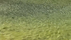 音乐短片 - Natural Flow五彩黄龙