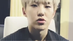 Seventeen,Hoshi(Seventeen) - Seventeen Diary By Hoshi