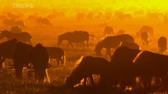 音乐短片 - Love Story 遇到 Viva La Vida