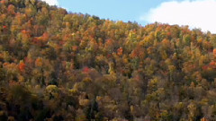 音乐短片 - Cowgirl Daydream