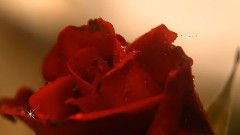 音乐短片 - Mirage