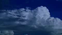 音乐短片 - Venice Rooftops