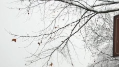 音乐短片 - 断桥残雪