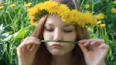 音乐短片 - Alisa & Nastya