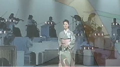 坂本冬美 - 男の情话