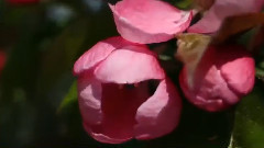 音乐短片 - 读你