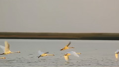 音乐短片 - 遇见