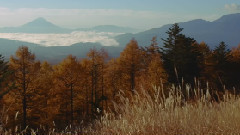 音乐短片 - Popolo