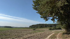 音乐短片 - Spaziergang im Herbst-S