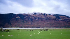 音乐短片 - The Best Starlit Sky In The World