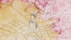动漫专属 - 劇場アニメーション
