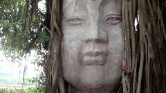 音乐短片 - Leaps and Bounds