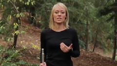 音乐短片 - Rue's Whistle Song (The Hunger Games)