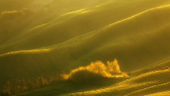 音乐短片 - Ave Maria