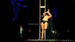 舞蹈视频 - Liquid Luxe performs at Pole and Aerial All Stars 2014