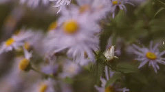 音乐短片 - A Rock n Roll Wedding in Suffolk
