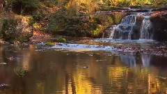 音乐短片 - Golden Autumn