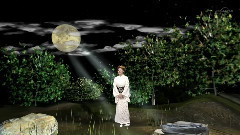 神野美伽 - 神野美伽 浮草の川