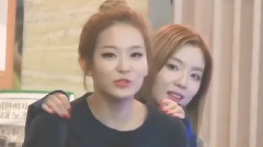 Red Velvet - Gemini Seulgi & Irene