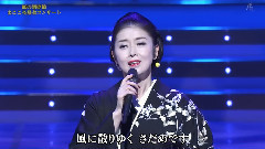 藤彩子 - 丽人草