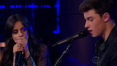 Shawn Mendes - I Know What You Did Last Summer