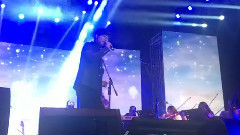 王思远 - 九阴真经