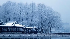 音乐短片 - 断桥残雪