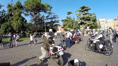 原创 - DGR Verona 2014