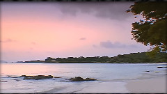 音乐短片 - Children's Dawn Blessing