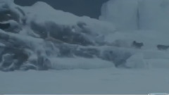 音乐短片 - Энигма Белый плен