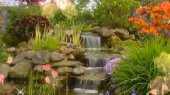 音乐短片 - Ne Mẹ Quitte Pas