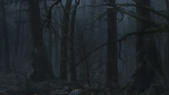 音乐短片 - Hi Finesse - Rebirth Ultra