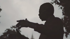 音乐短片 - The Palace The Square & The Circus