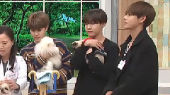 V(防弹少年团),JIMIN(防弹少年团),J-HOPE(防弹少年团),防弹少年团 - < Mypet宠物咨询处 > 下期预告 金泰亨&朴智旻&郑号锡