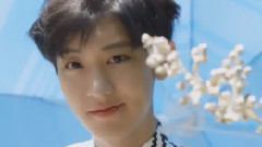 EXO-K,朴灿烈(EXO),EXO - 世界上唯一仅有的花的名字 朴灿烈生贺
